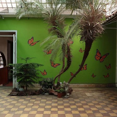 Casa Mayela Guest House Сан-Хосе Екстер'єр фото