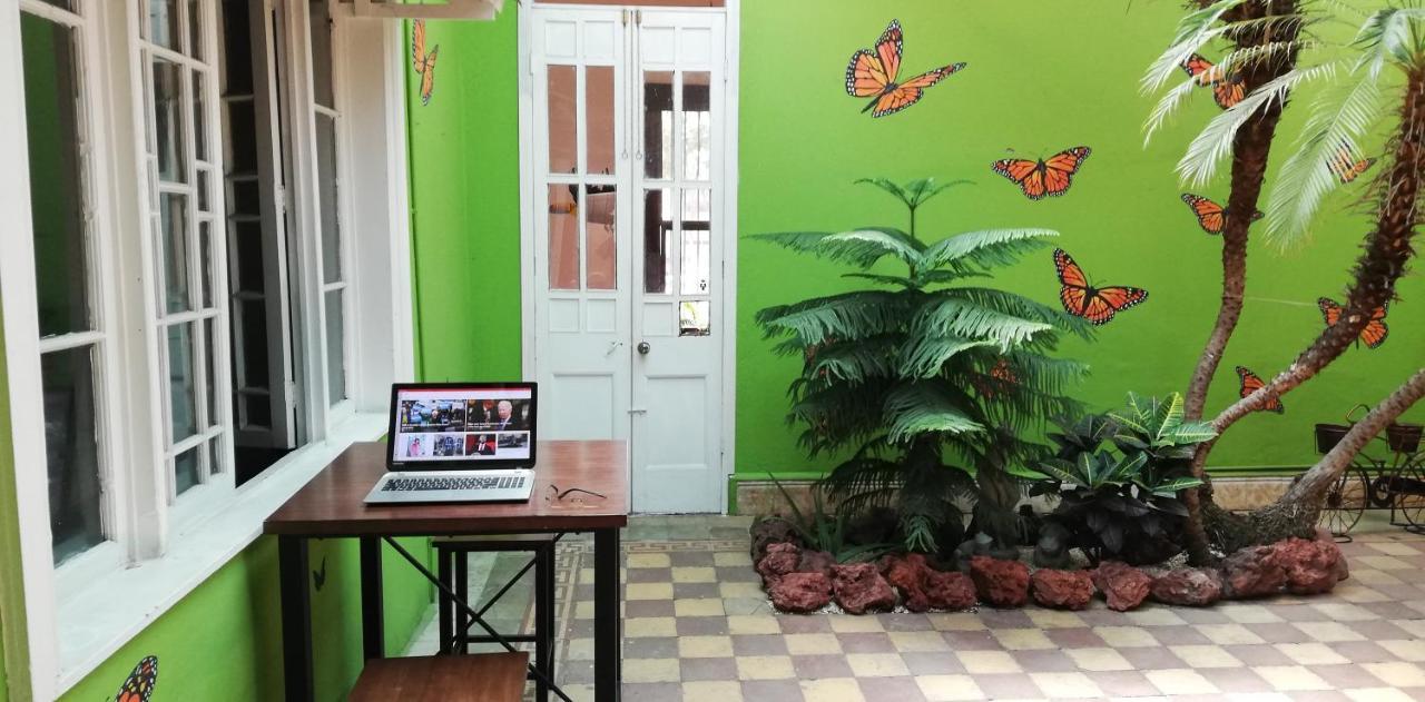 Casa Mayela Guest House Сан-Хосе Екстер'єр фото